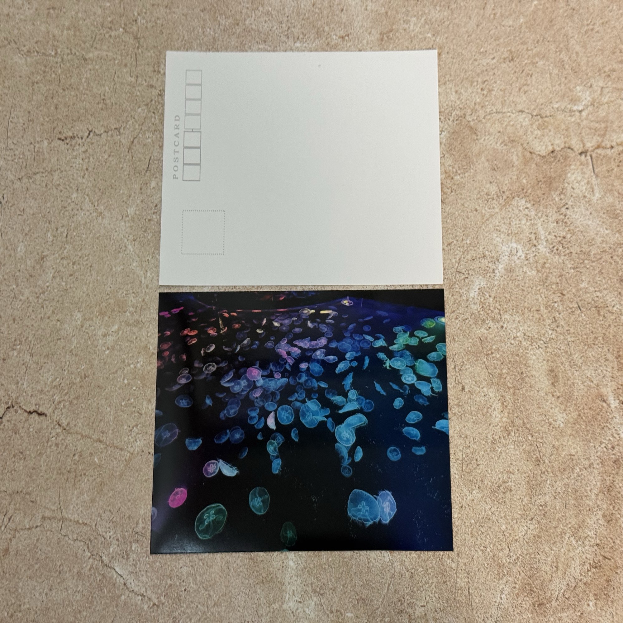 コンビニで2L判フォト用紙にはがきサイズの画像を印刷してみた｜あいこうら