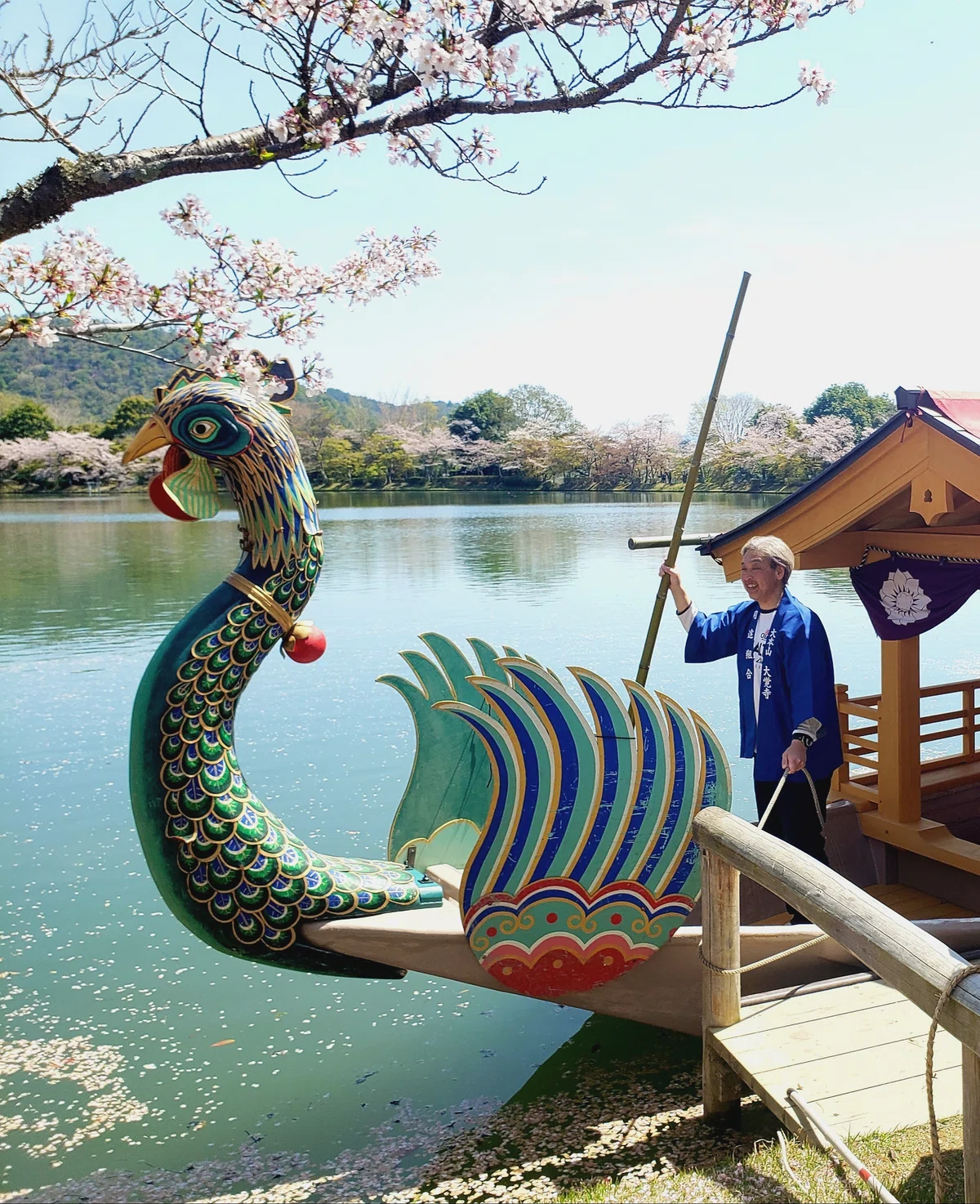 京都へ行こう 【304】|ひばりん
