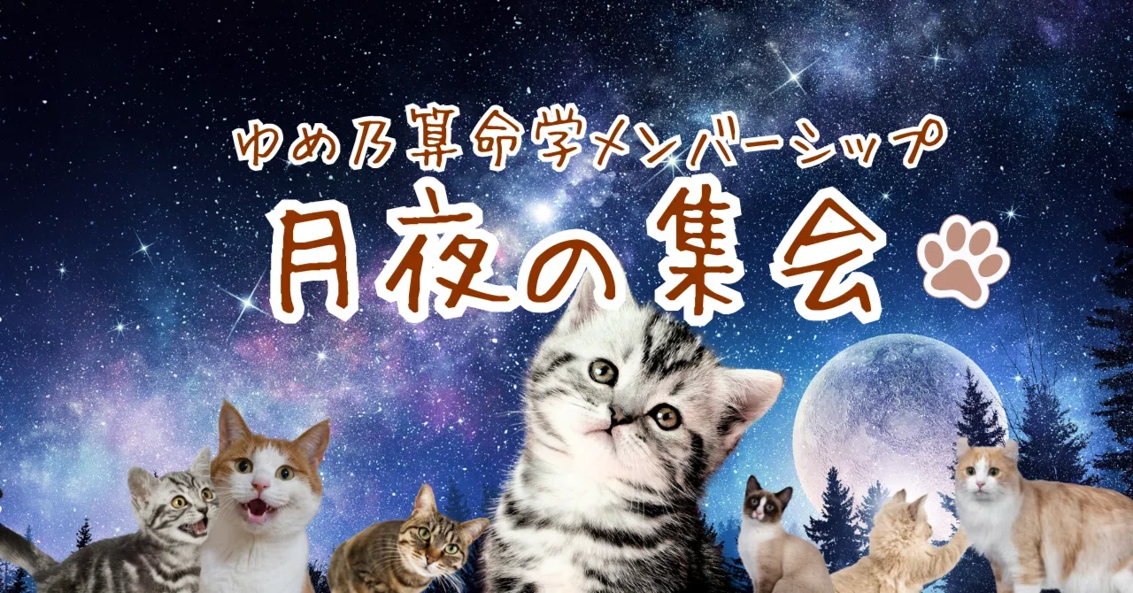 ゆめ乃算命学キホン全部セット レベル1～4 4,850引ゆめ乃算命学