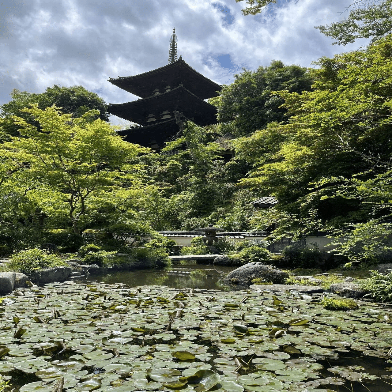 死者の書に導かれ中将姫伝説の當麻寺へ【Re紀行文】｜タキカワスエヒト