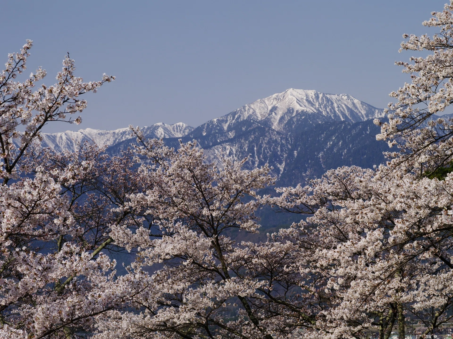 桜咲く春の北アルプス ～撮影旅行よもやま話集～｜綺麗な風景写真が