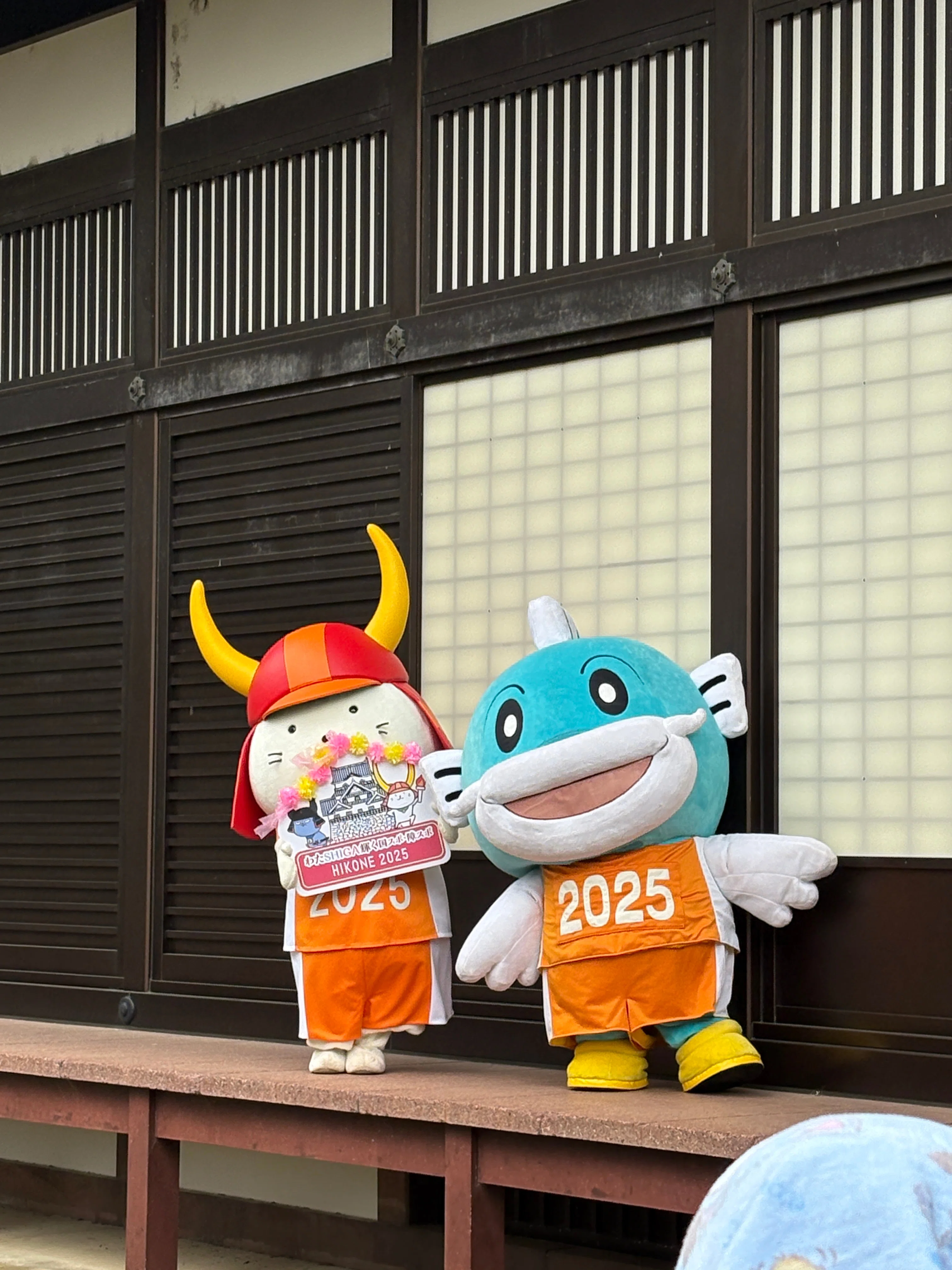 ひこにゃんの誕生日のおさんぽ 全部で5ステ！〜ひこにゃん誕生日旅