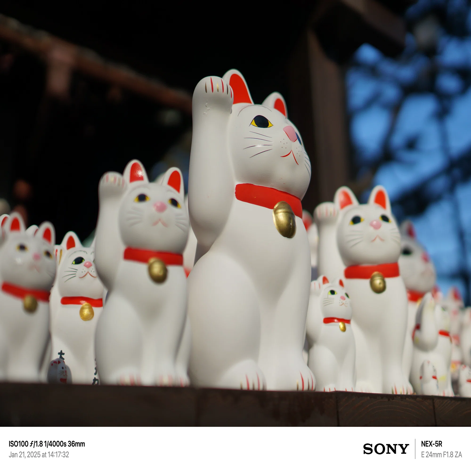 NEX-5Rで豪徳寺の招き猫を撮ってみた｜まあ