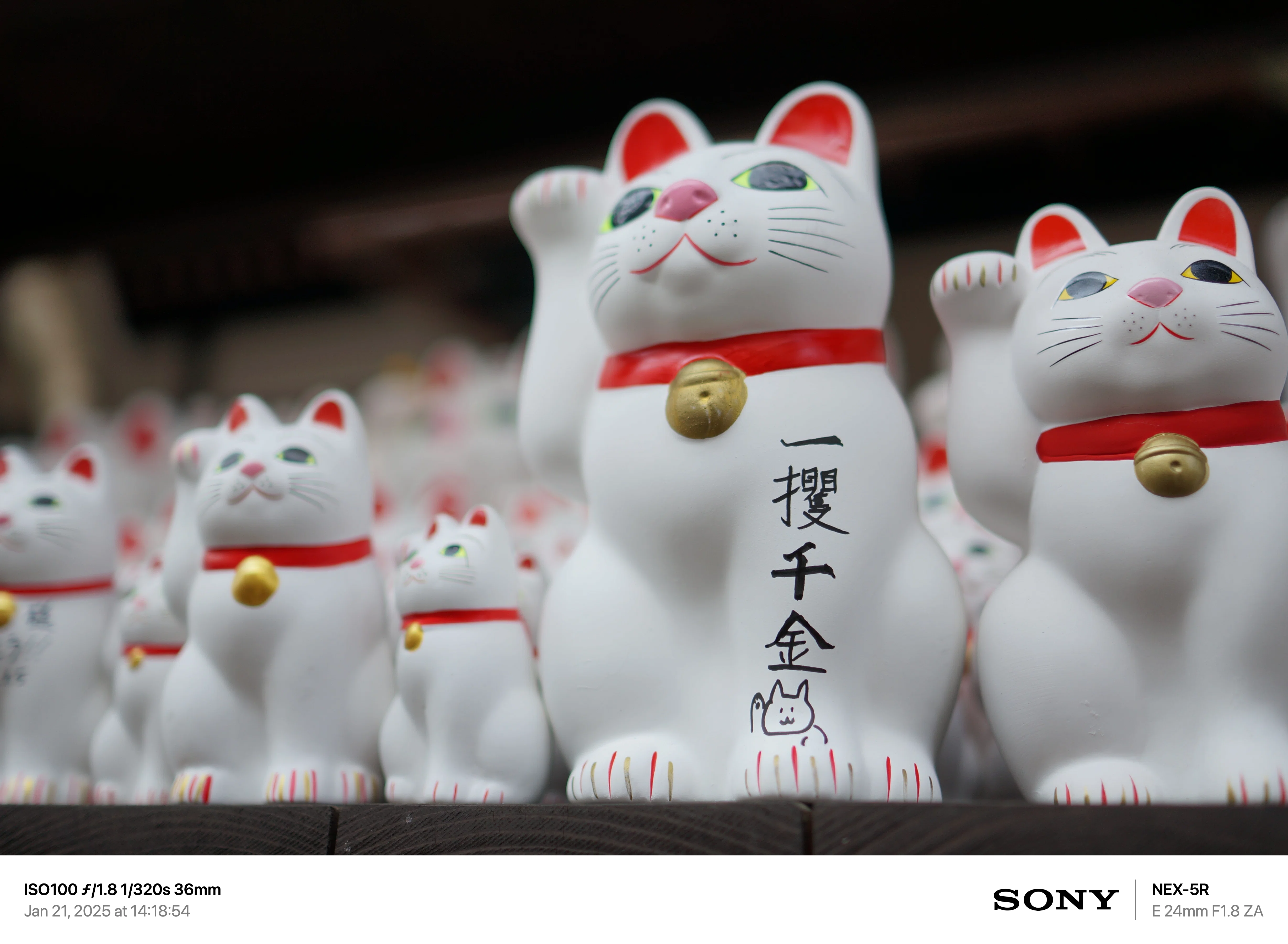NEX-5Rで豪徳寺の招き猫を撮ってみた｜まあ