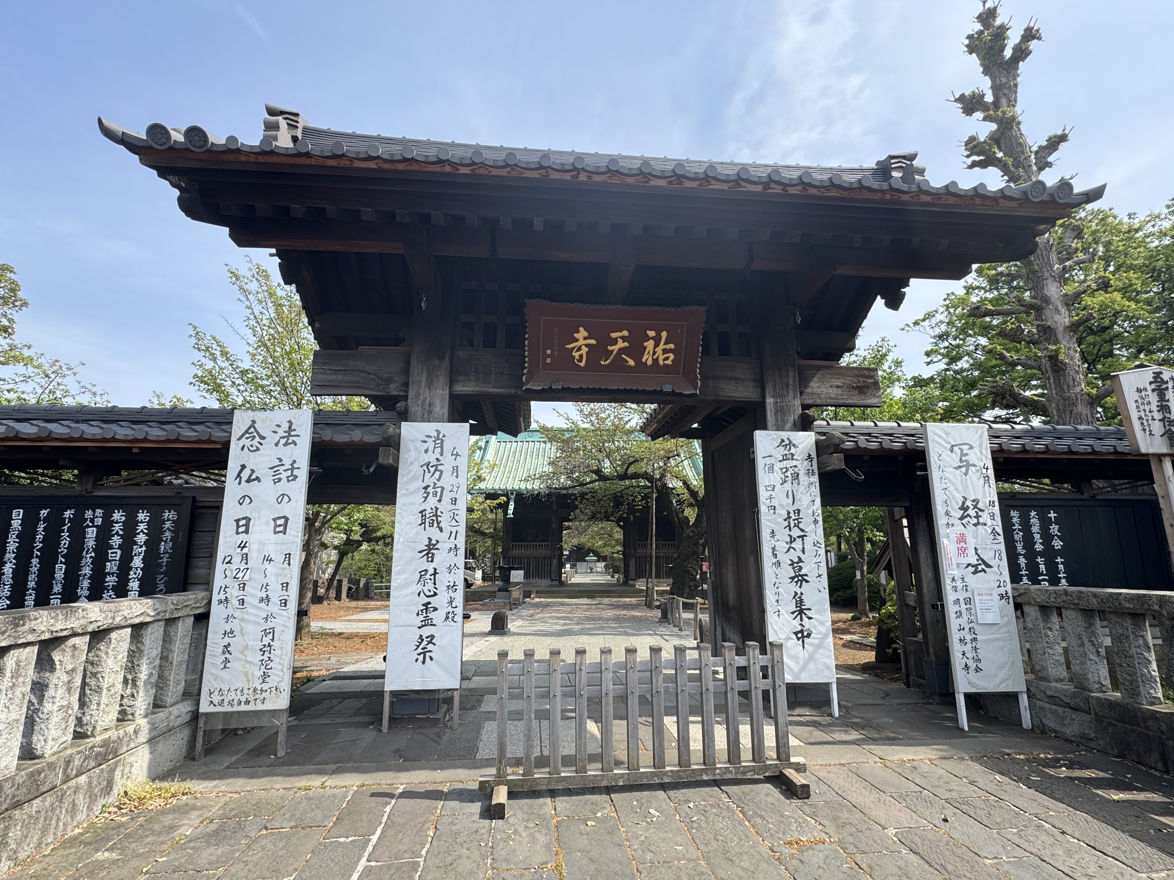 祐天寺散策 藤棚が見頃｜祐天寺駅周辺の魅力を発信する会【公式note】