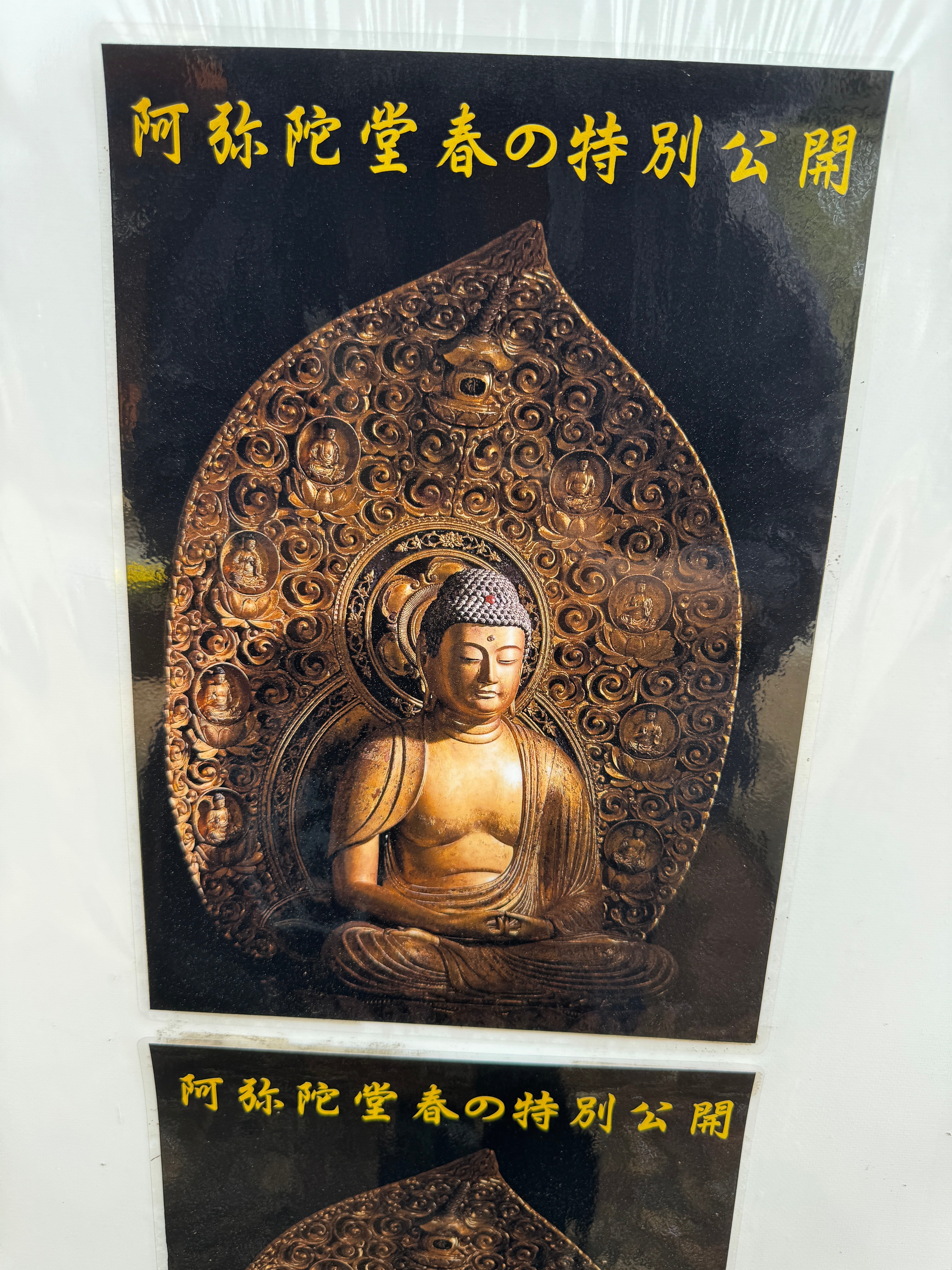 祐天寺散策 藤棚が見頃｜祐天寺駅周辺の魅力を発信する会【公式note】