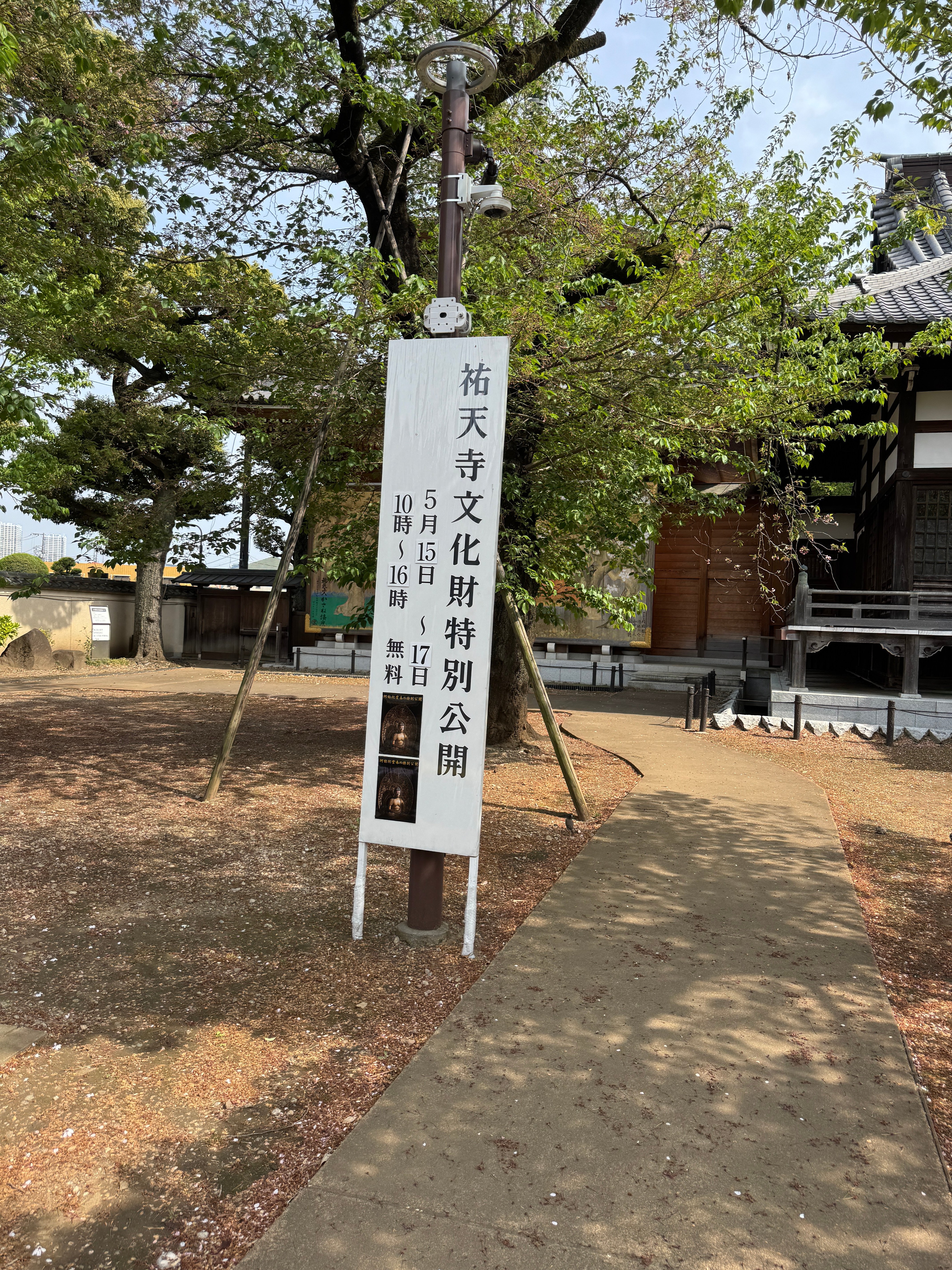 祐天寺散策 藤棚が見頃｜祐天寺駅周辺の魅力を発信する会【公式note】