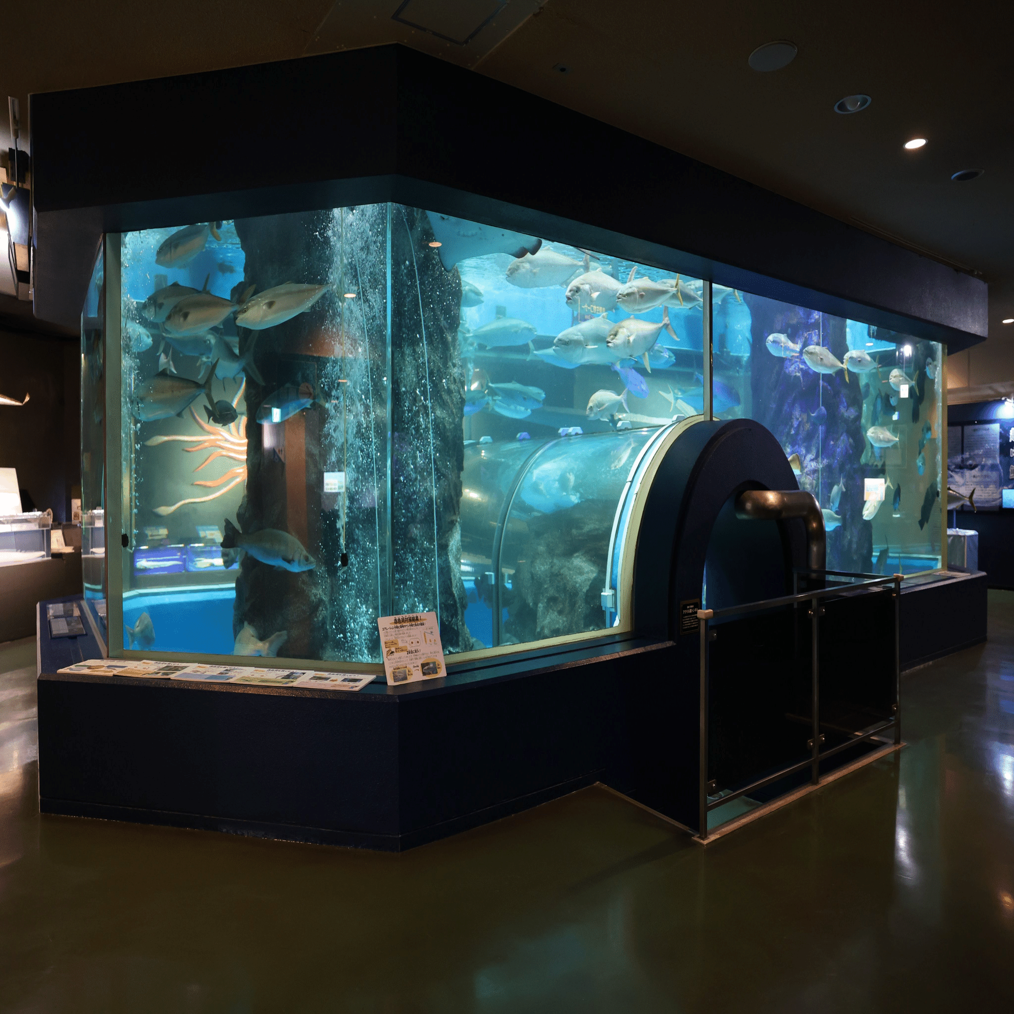 水槽 TenNobu Nanostream 6025 Aquarium Wave Pump - Tunze - SaltwaterAquarium.com