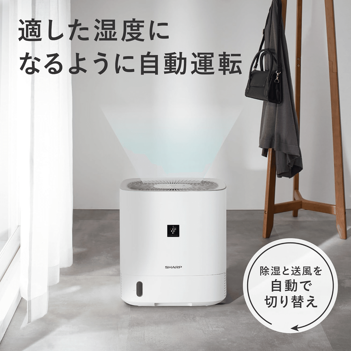 【土日限定価格】SHARP プラズマクラスター 空気清浄除湿機 梅雨 部屋干し 4000737588001-1.jpg