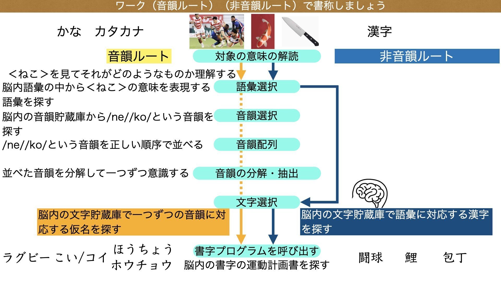 ✍️第7回明日から実践できるロゴジェンモデル《書く（書称・書取）編