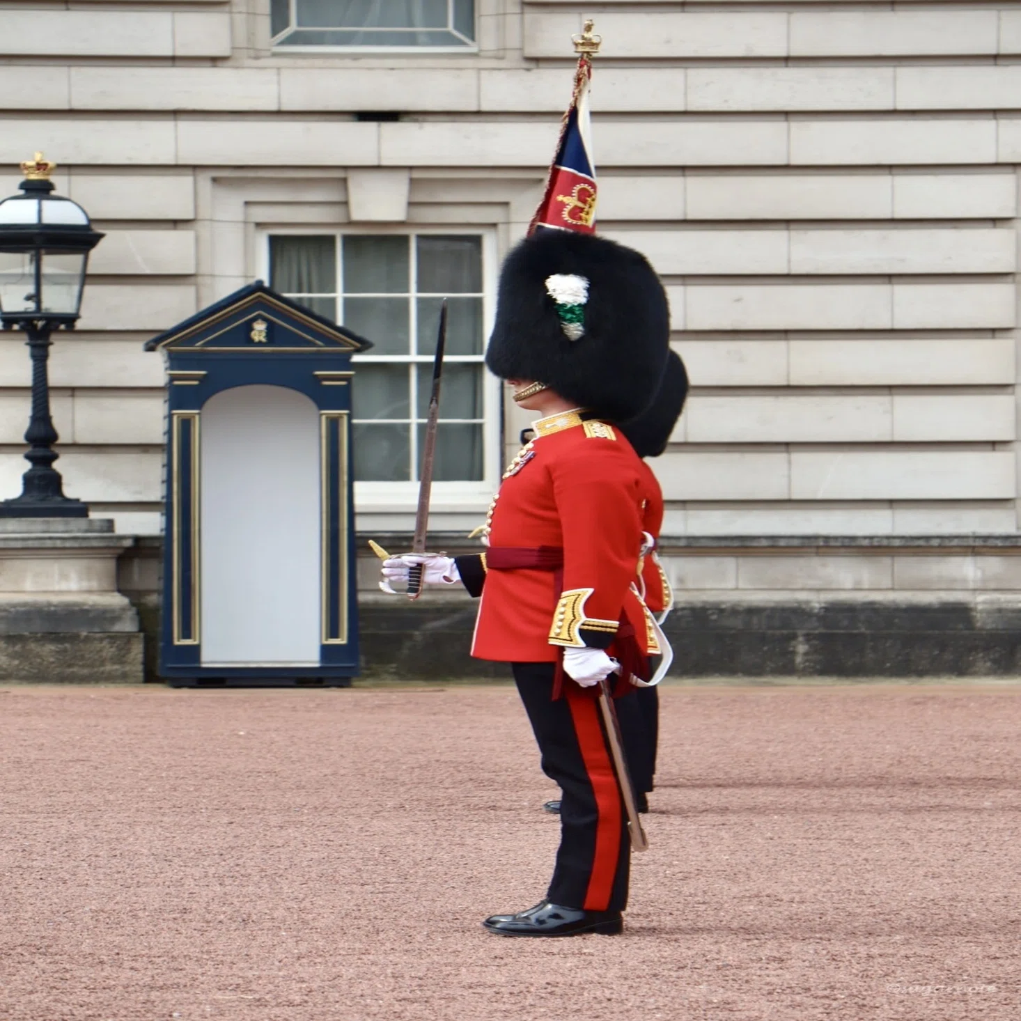 ロンドン旅行】 英国伝統的なバッキンガム宮殿の「衛兵交代式」｜Rui