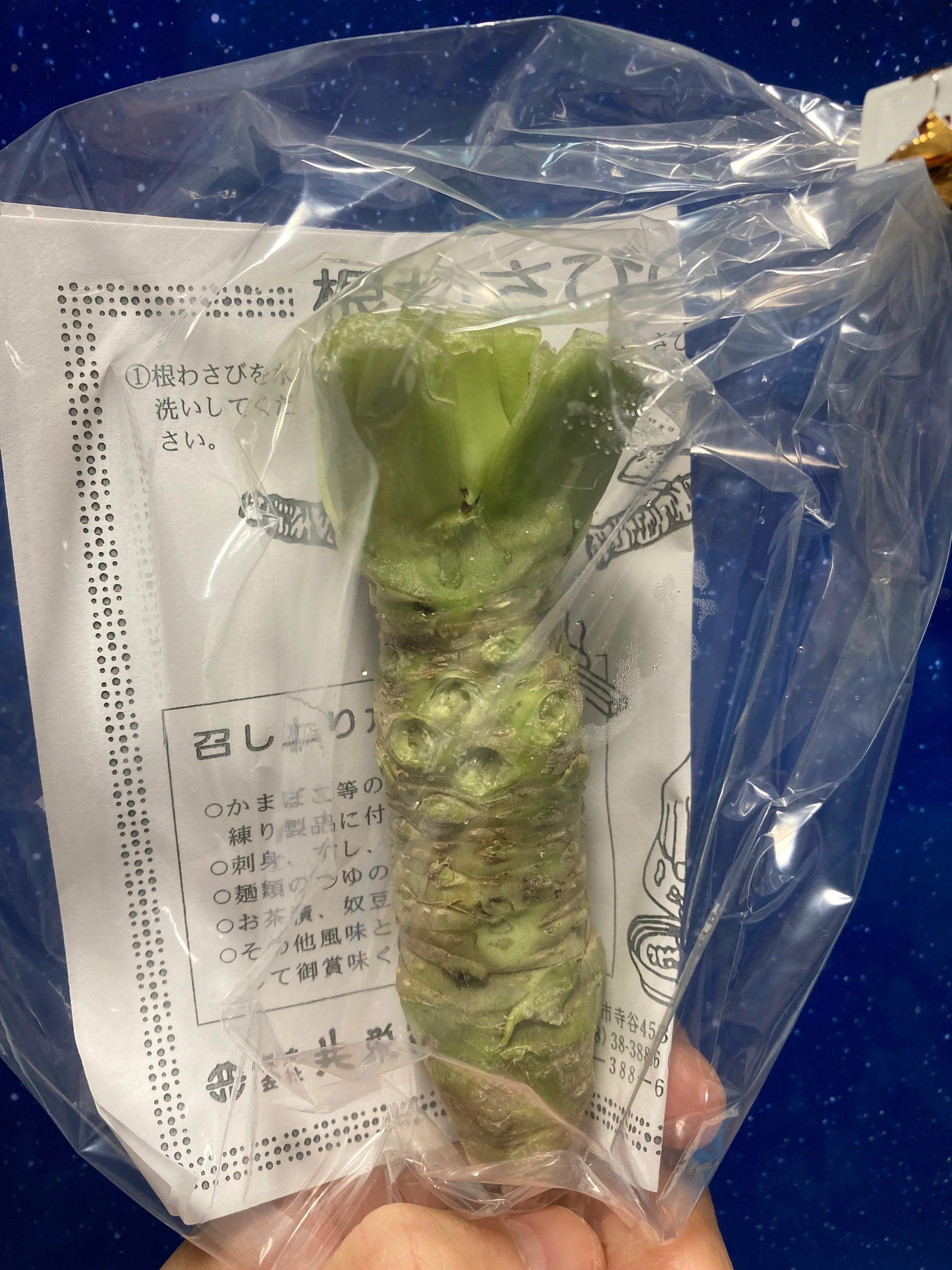 激辛だがちょっぴり甘い100％ワサビ｜佐藤外郎