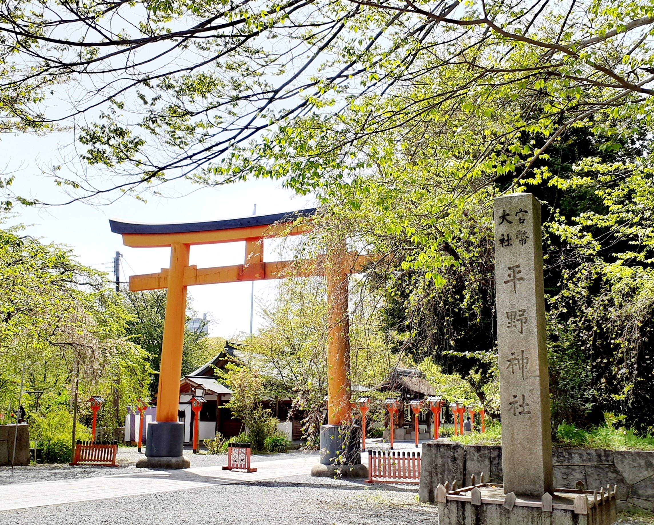 読書散歩｜京都の歩き方 歴史小説家50の視点｜澤田瞳子｜xicano