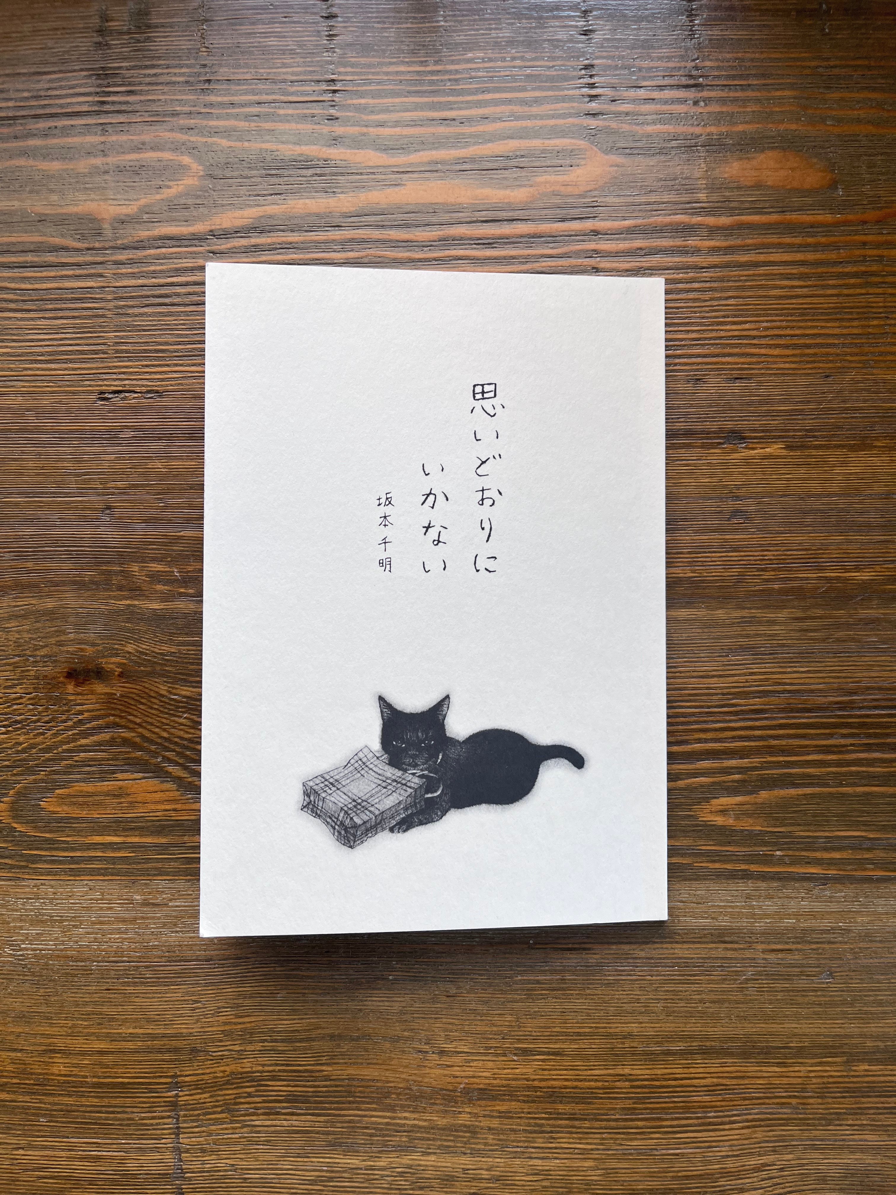 坂本千明さんの猫はがき到着！＆今朝のこと。 - shop+space ひめくり