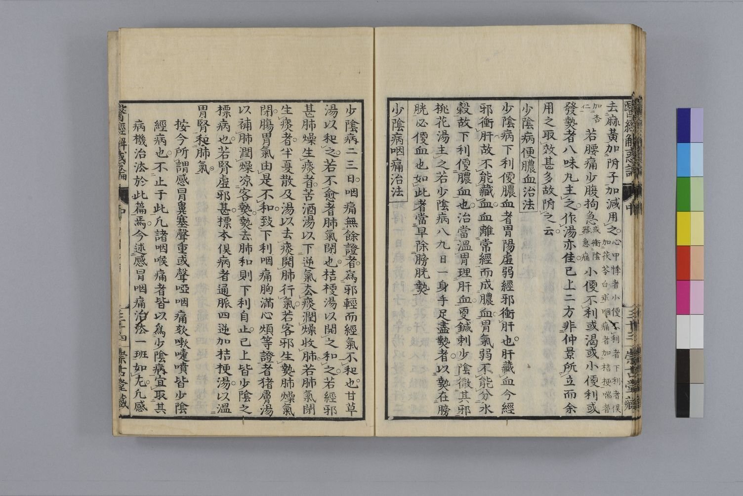 古典医学の学び方「医経解惑論」解説】19.少陰編大意_④少陰病便 古典医学の学び方「医経解惑論」解説】19.少陰編大意_④少陰病便