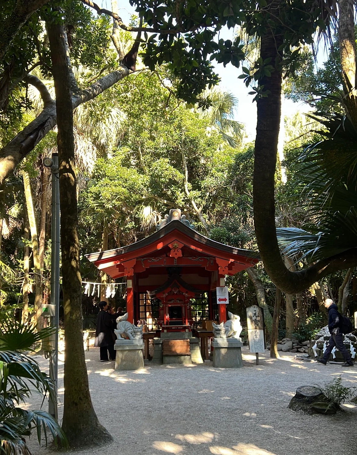 フェリー旅で巡る宮崎！2泊3日で自然を大満喫したリアル日記｜【公式】ゴールドプラザ