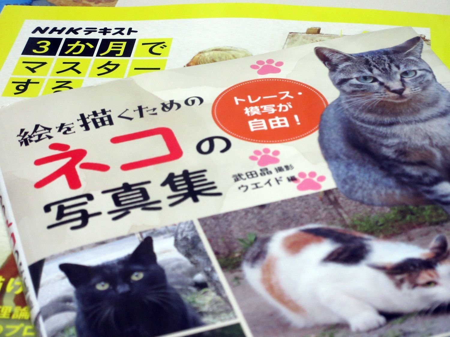 水彩画 ねこ｜ちろ