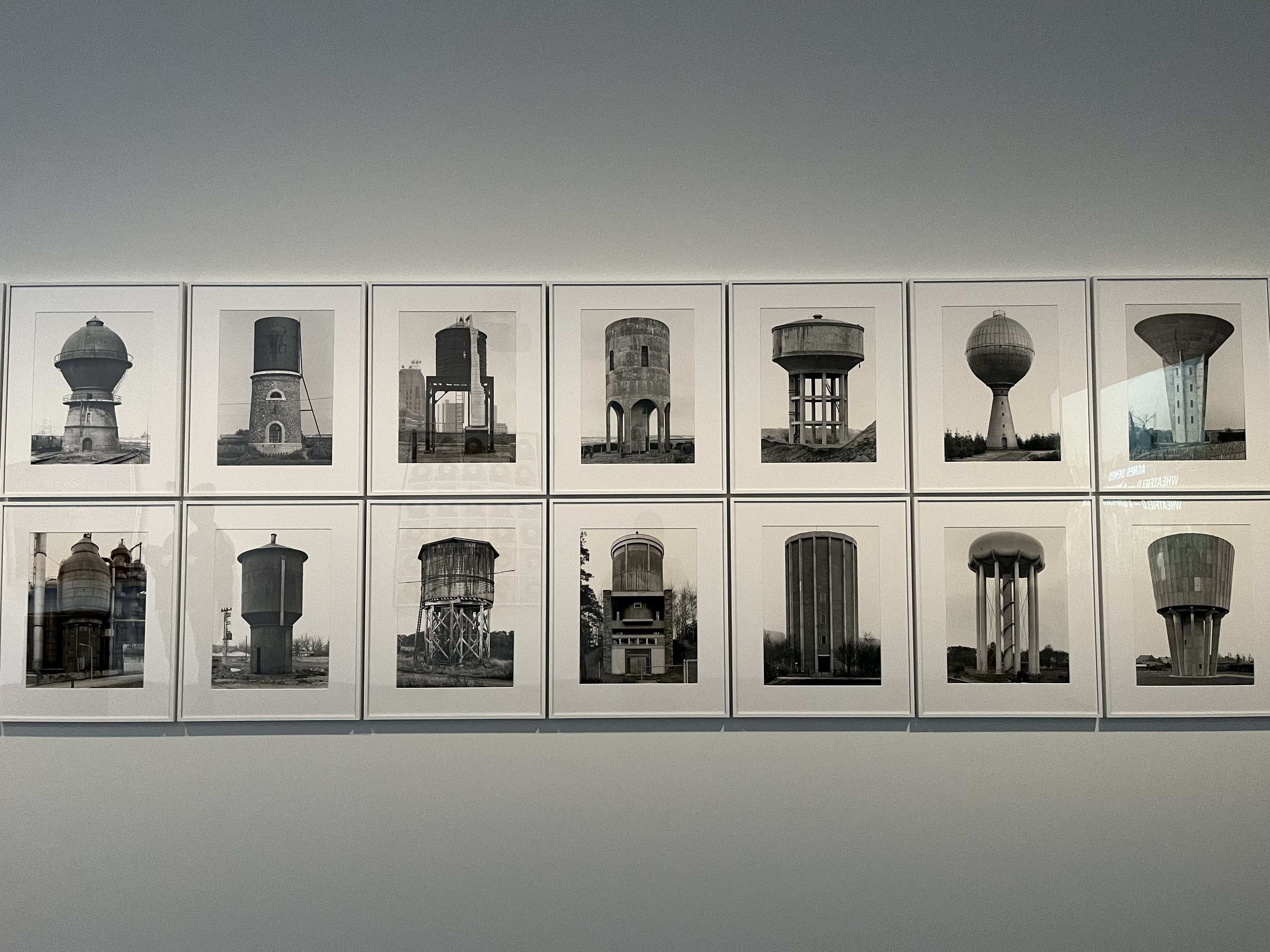 現代アート、写真、ドイツ製🇩🇪｜羊