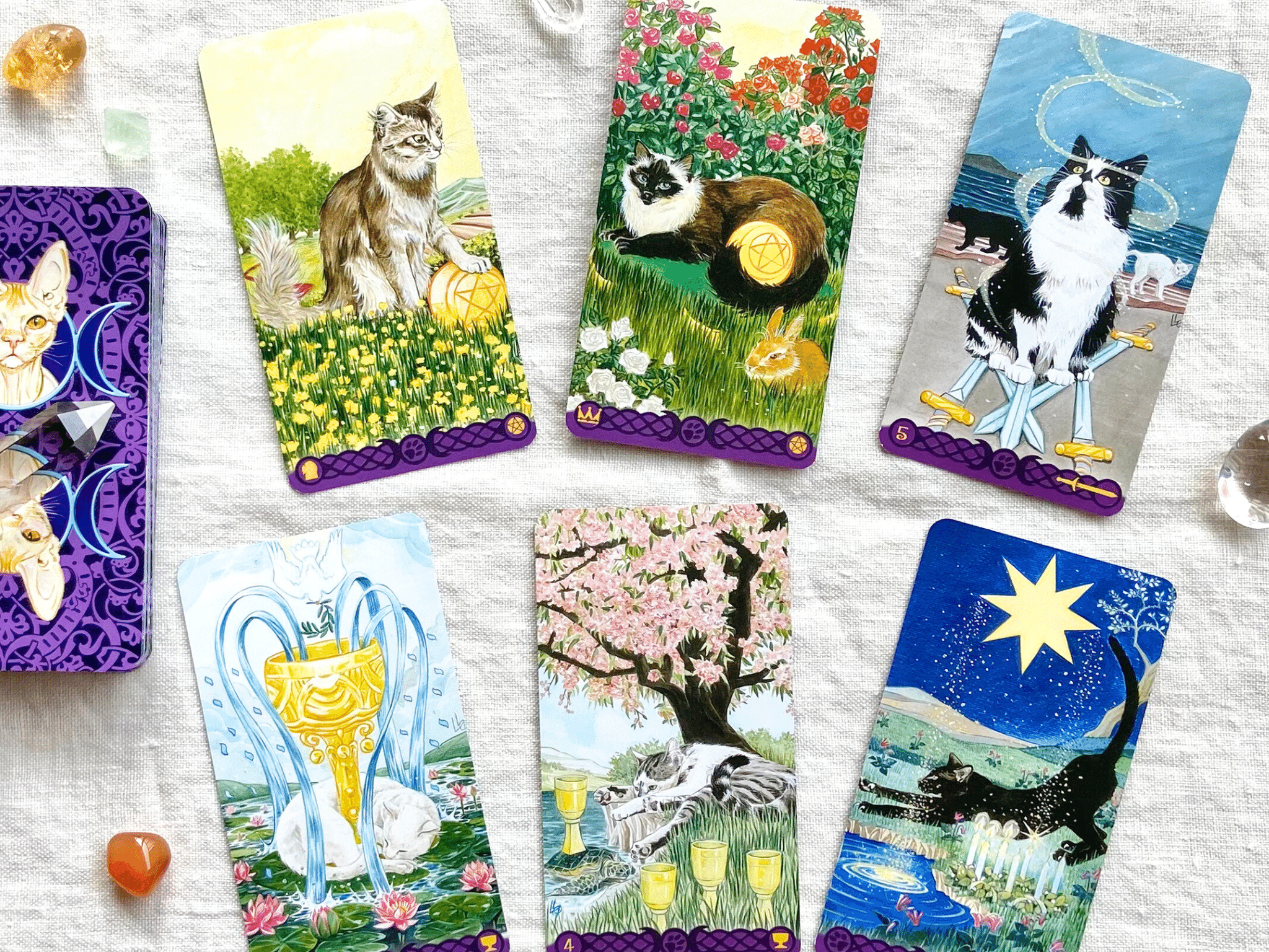 海外人気タロット✨金縁仕様✨可愛い猫たちがしく描かれたキャット