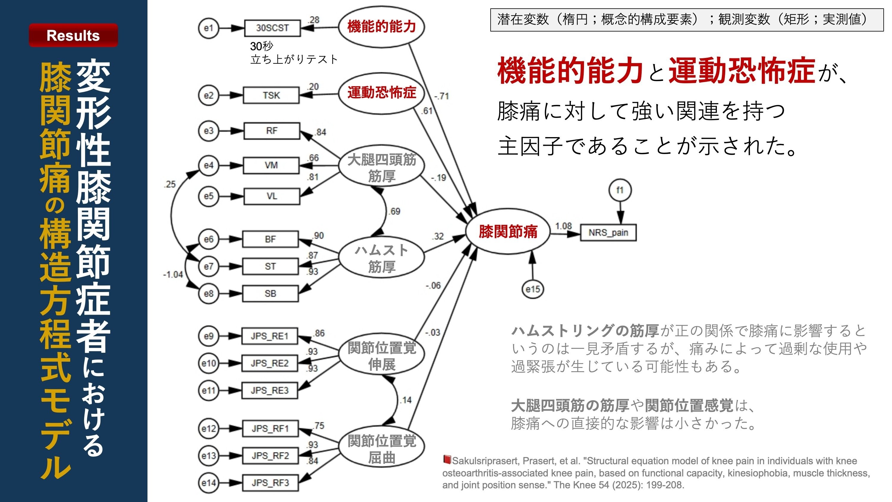 膝OA者の膝痛方程式｜Super Human | 理学療法士／保健学博士 Ph.D.