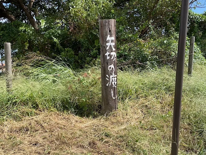 矢切の渡し入り口