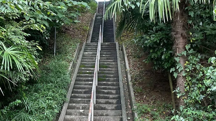 矢切駅近くの急階段