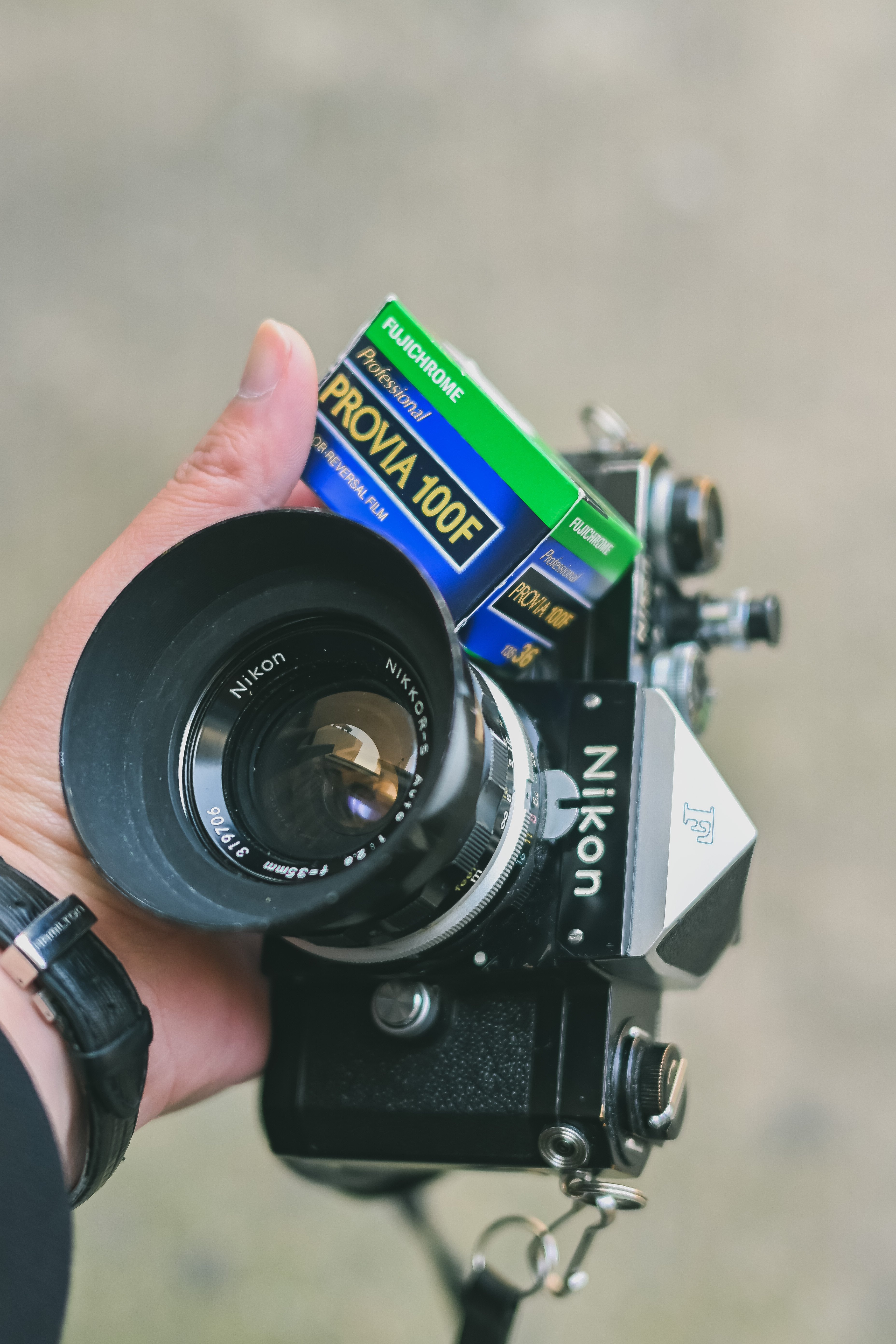 桜満開の金沢！】ニコン Fとポジ/ネガフィルムで撮る桜｜もんぶらん