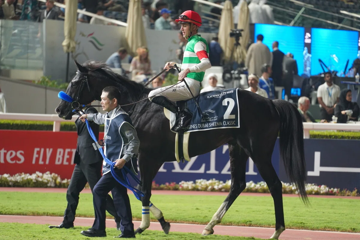 2025ドバイワールドカップデー」メイダン競馬場 長〜い観戦記