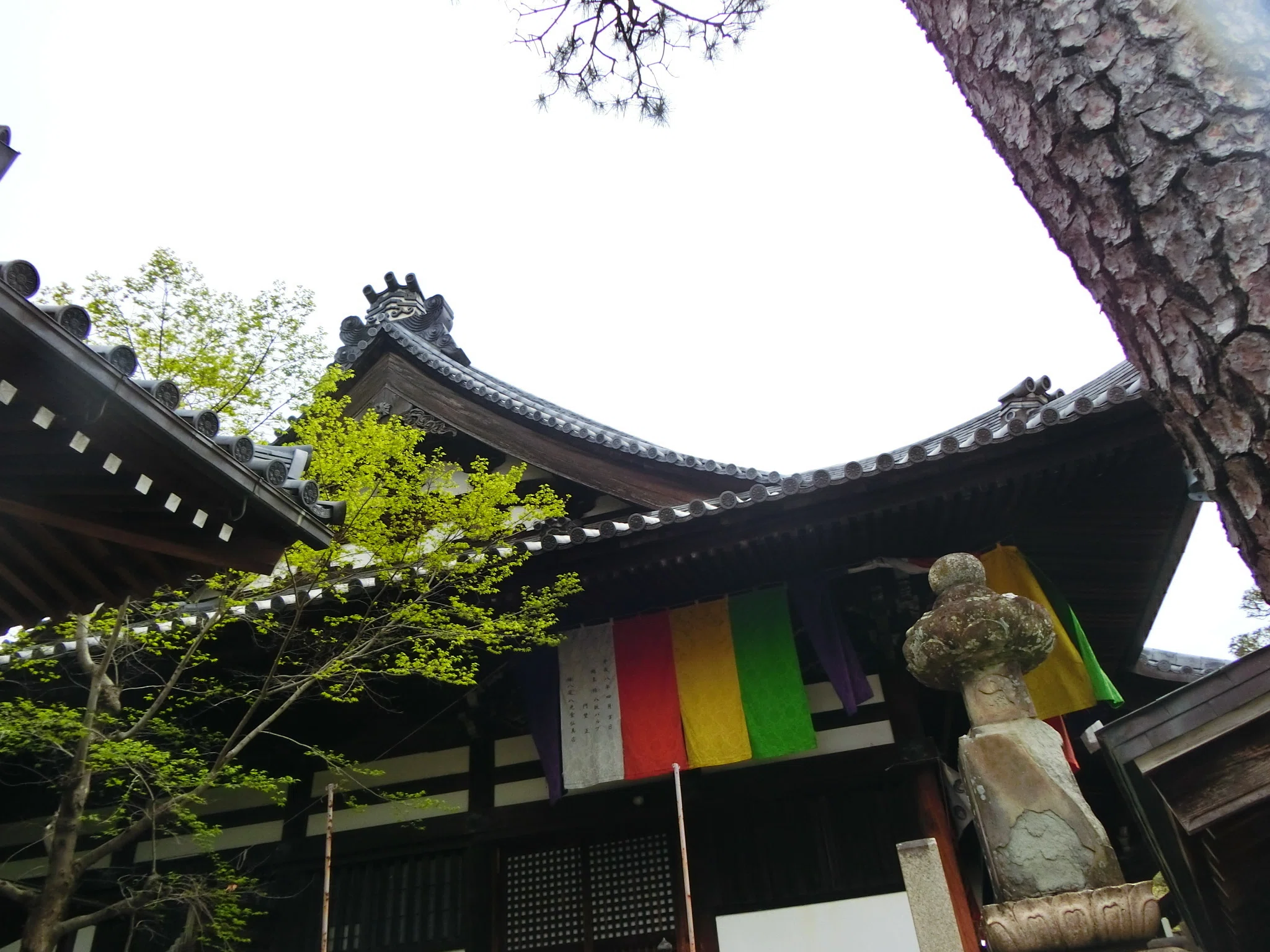 4/18開帳「葛井寺」本当に手が千本「辛国神社」【南河内シリーズ