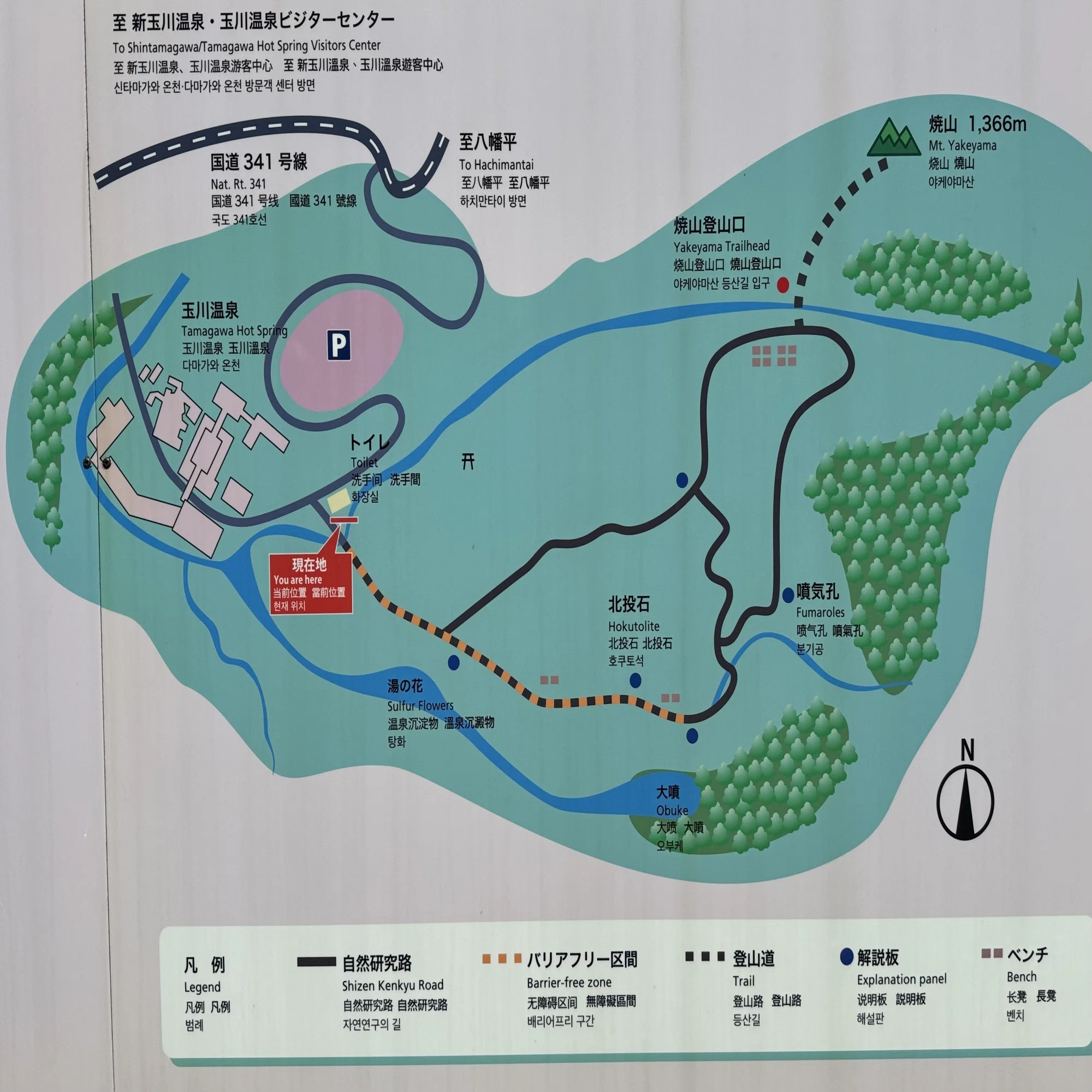 公の場での発言・インタビュー報道記録
