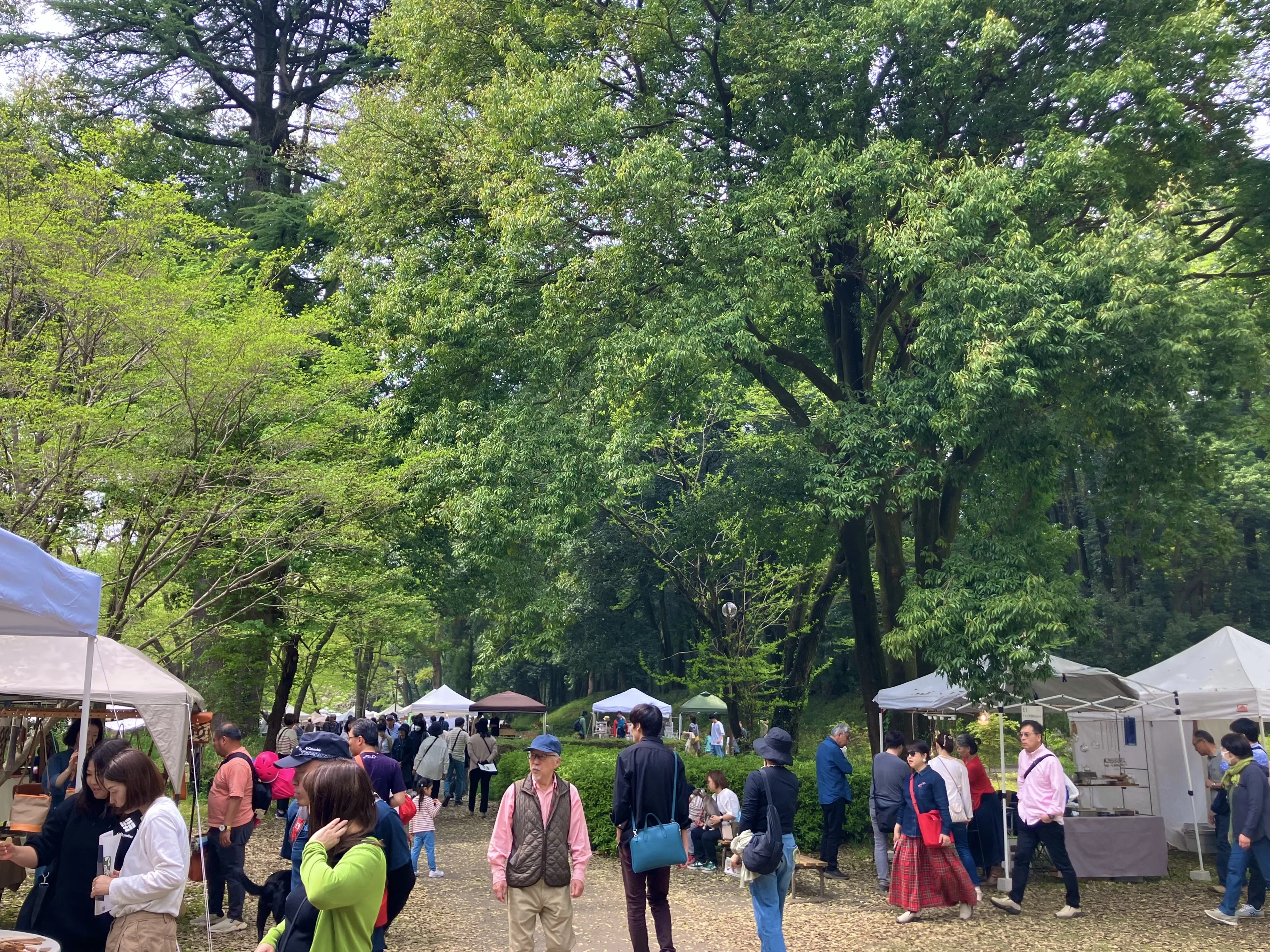 合馬公式アカウント1さま　ご当地根付ストラップ 他　47都道府県　コンプリート 群馬の森クラフトフェア2025｜shinchu_rama