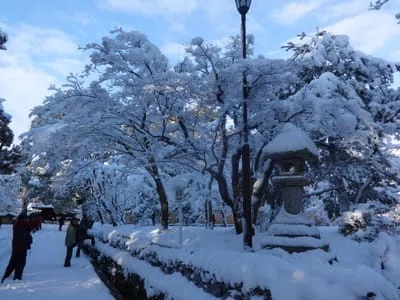 雪の金閣寺（前編）｜小路