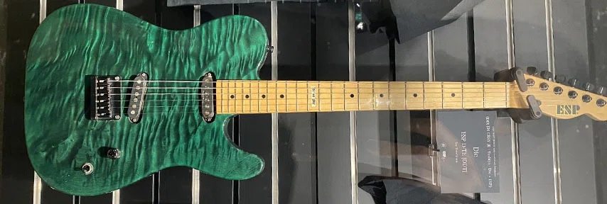 ESPordermade品 D-DRメイプル指板 DIRENGREY DIEさん Die | ESP GUITARS