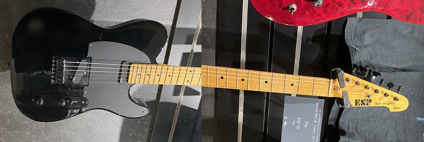 ESPordermade品　D-DRメイプル指板　DIRENGREY　DIEさん 楽天市場】【ESP直営店】【受注生産】DIR EN GREY Dieモデル ESP D-DR