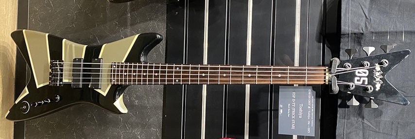 DIR EN GREY Toshiya 使用ベース(+ギター)まとめ｜べにしょうが