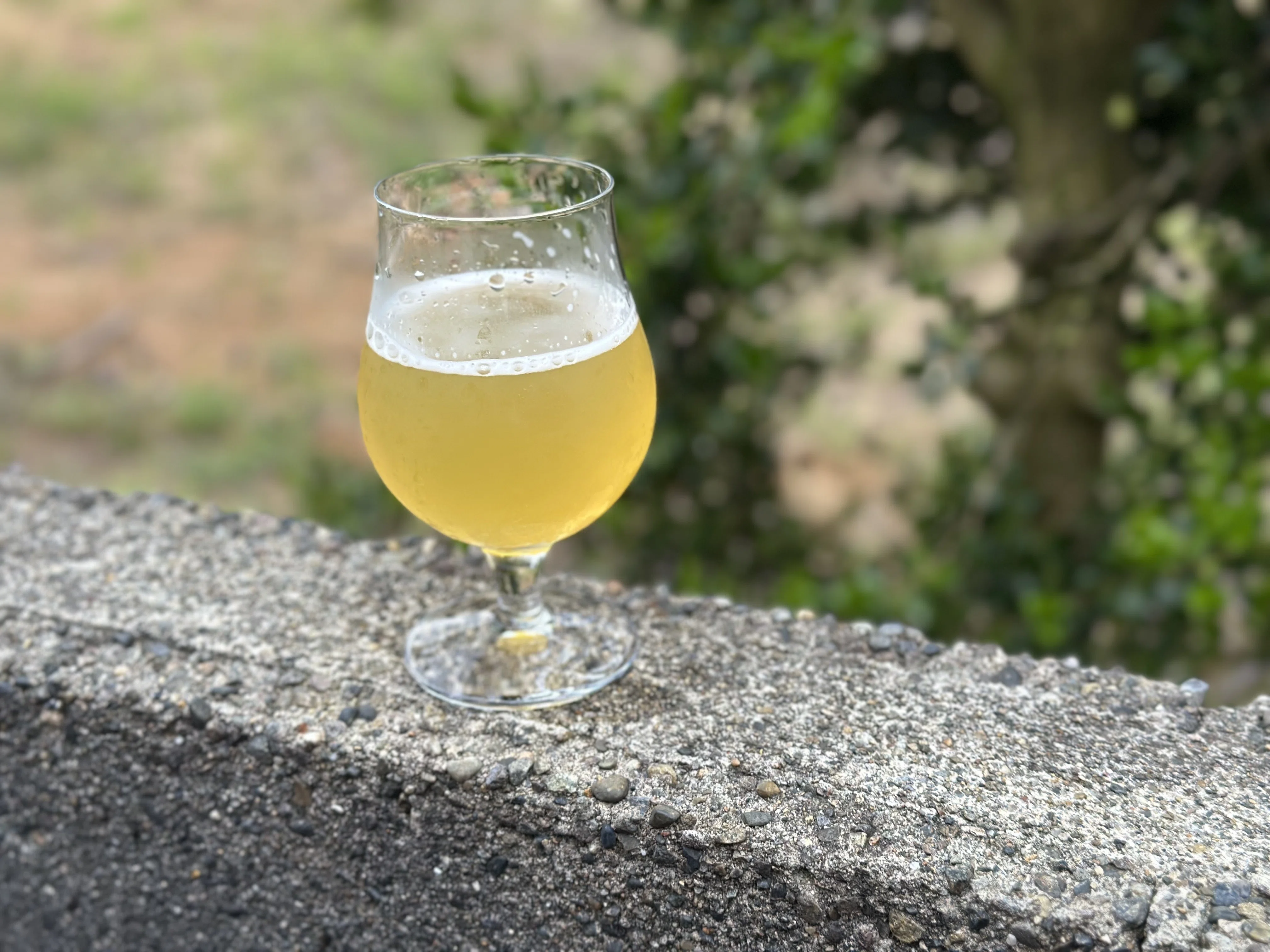 PASH リリースです！｜Gangi Brewing