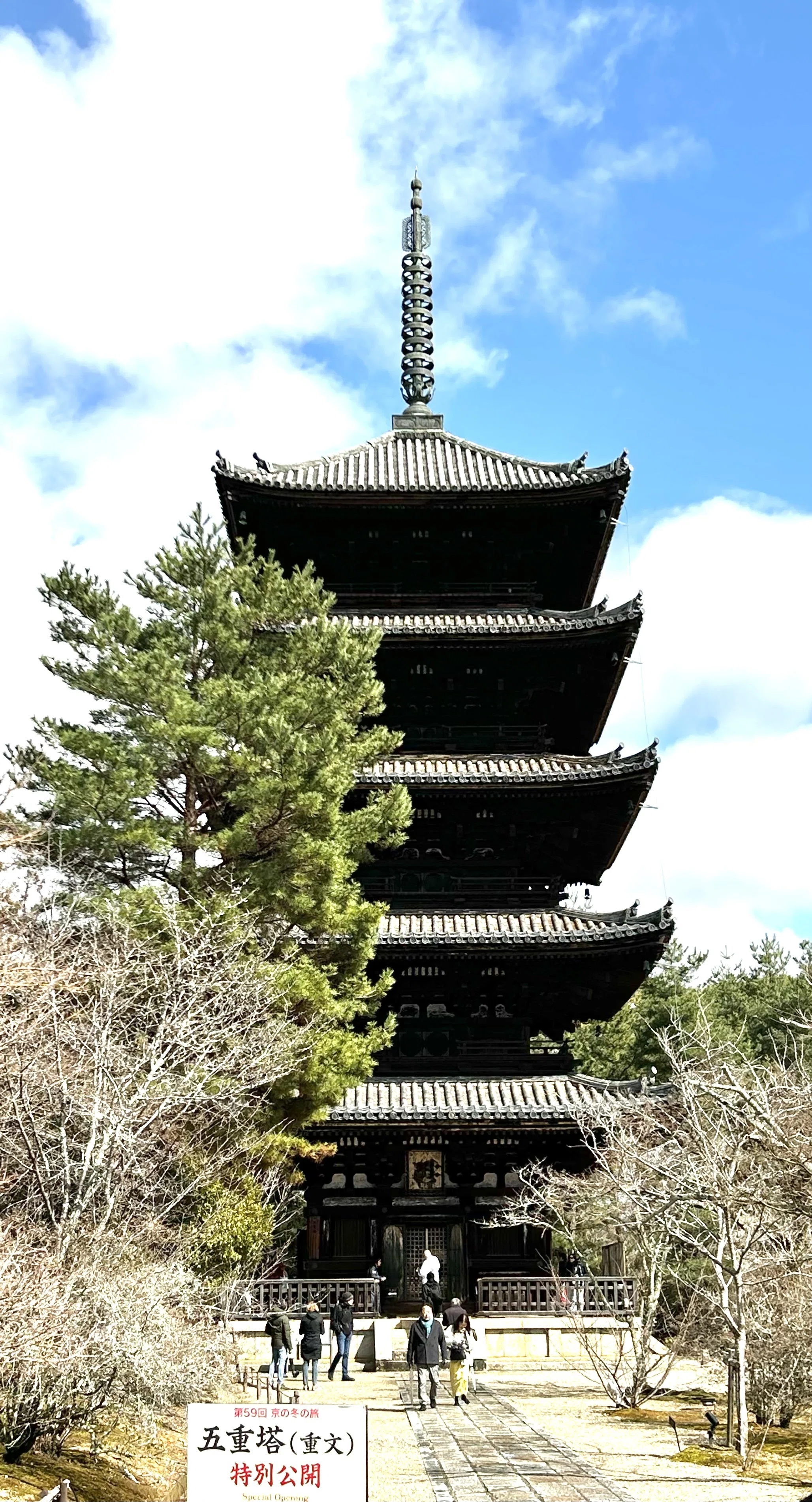 京の冬の旅』に行ってきた ③ |御室《おむろ》 |仁和寺《にんなじ