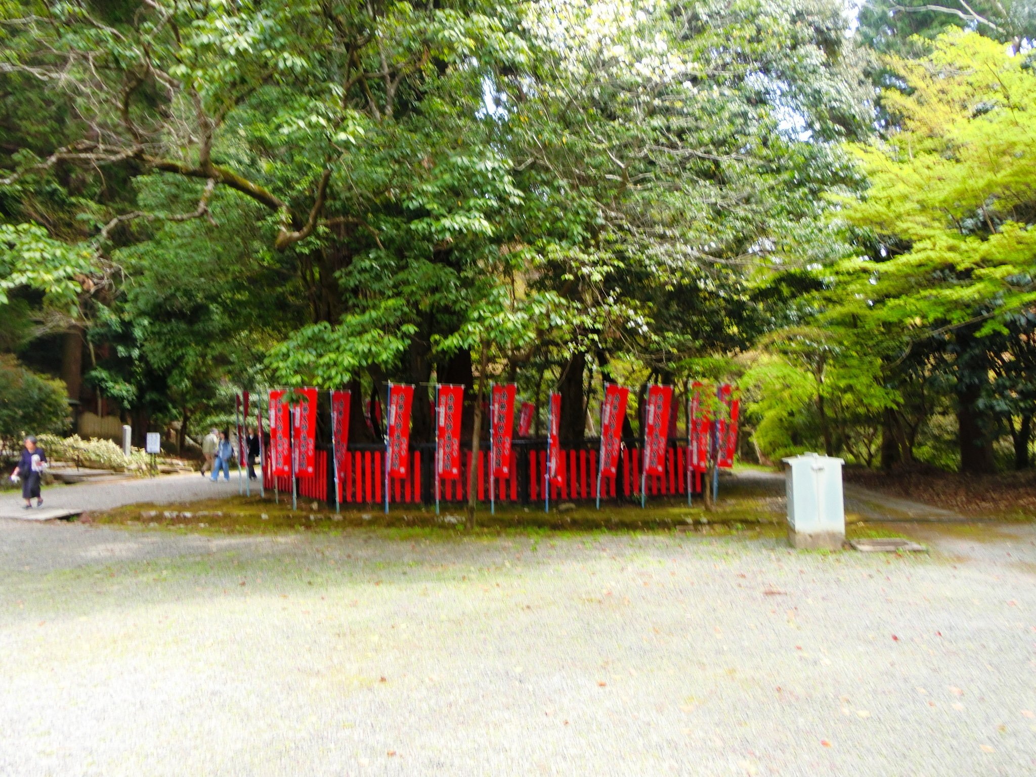 平安密教美術の傑作・日本三大如意輪「観心寺」空海勧請「河合寺 平安密教美術の傑作・日本三大如意輪「観心寺」空海勧請「河合寺