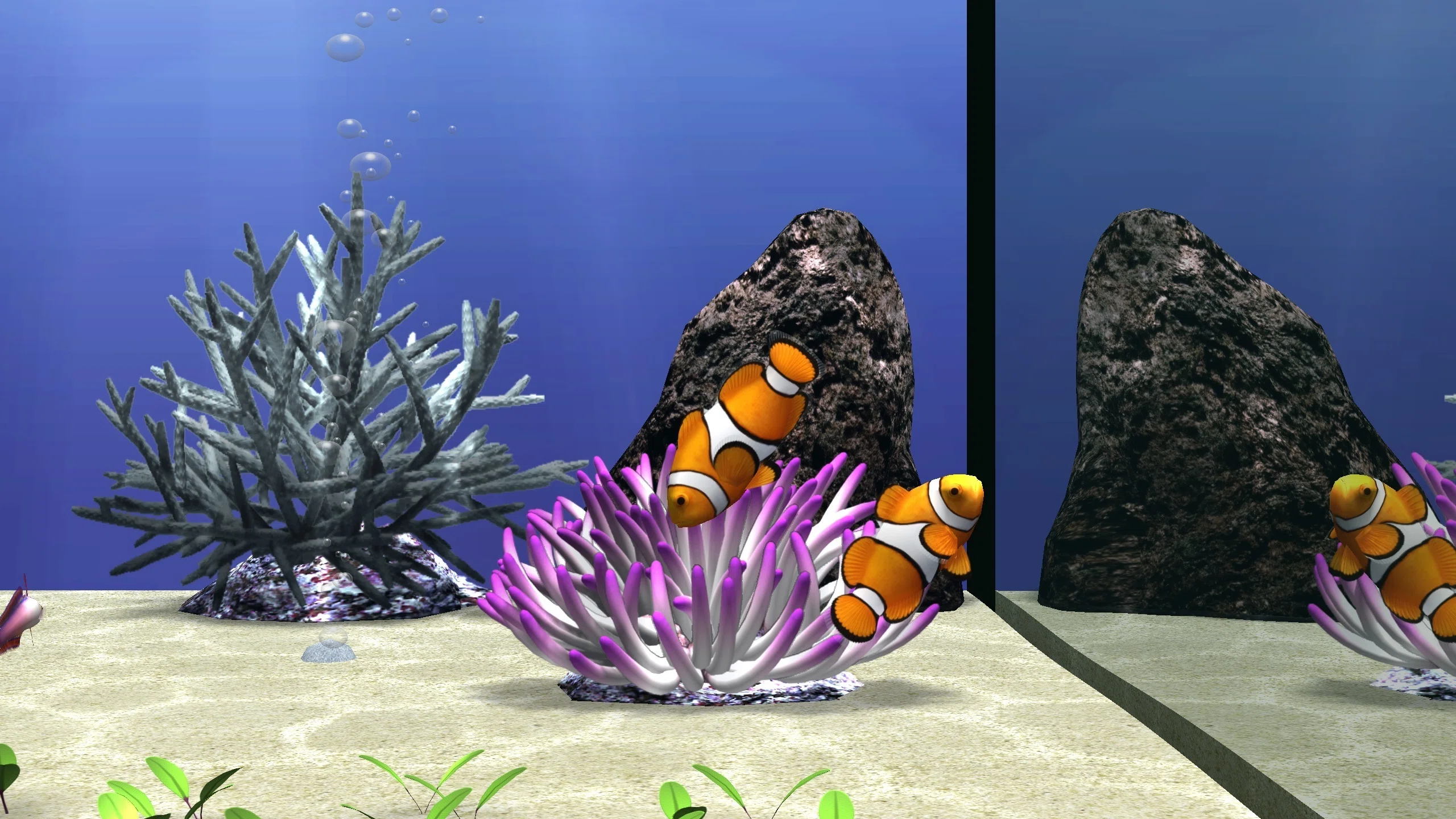 [PC] My Aquarium ~Saltwater Fish~｜みかん