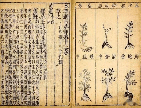漢方専門家を目指すなら、知っておきましょうこの方を｜Kodai