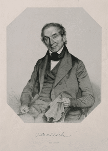 Nathaniel Wallich
