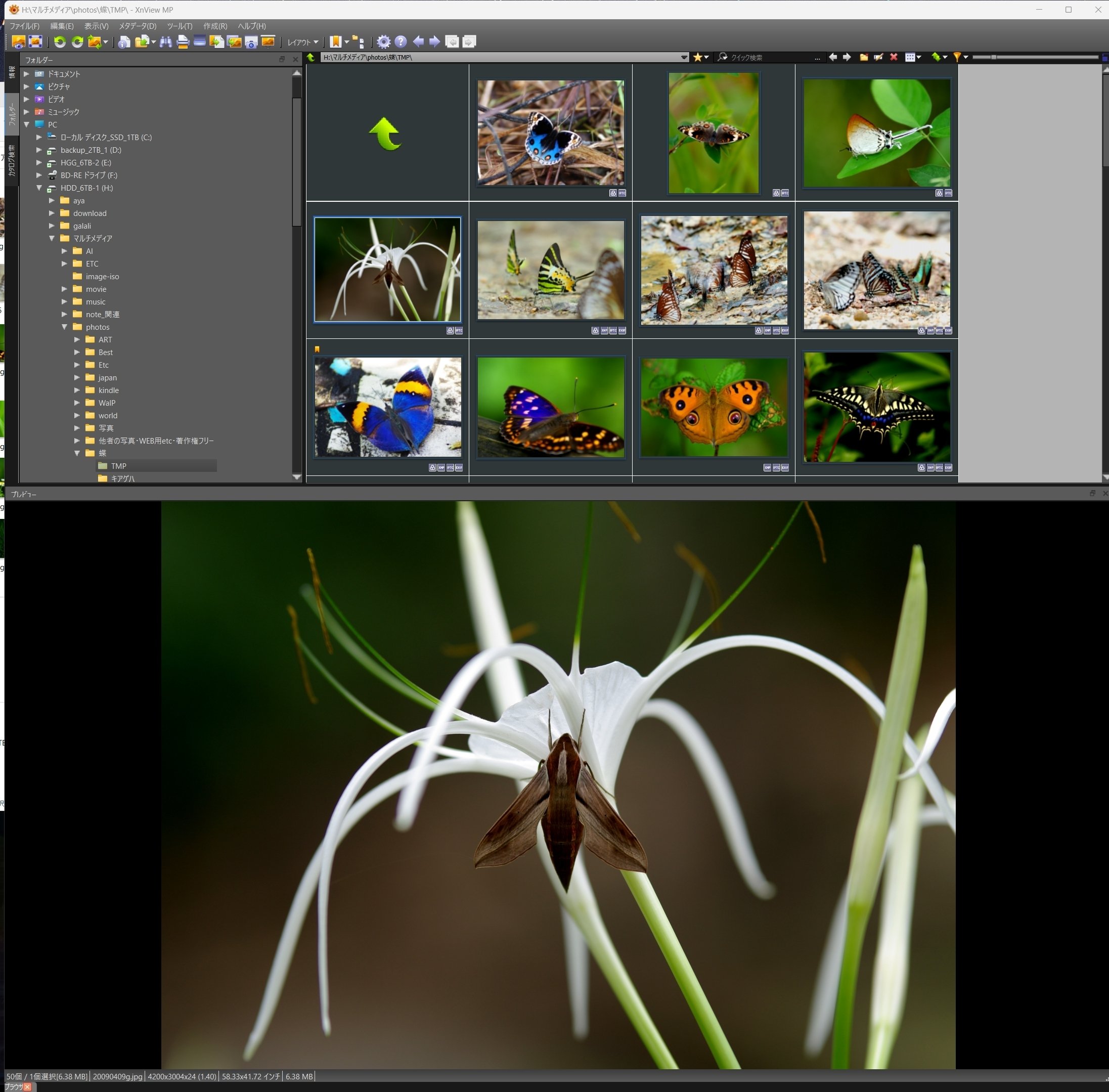無料で使える写真ビューア : XnView MP｜キータン🦋写真とAIで紡ぐもう