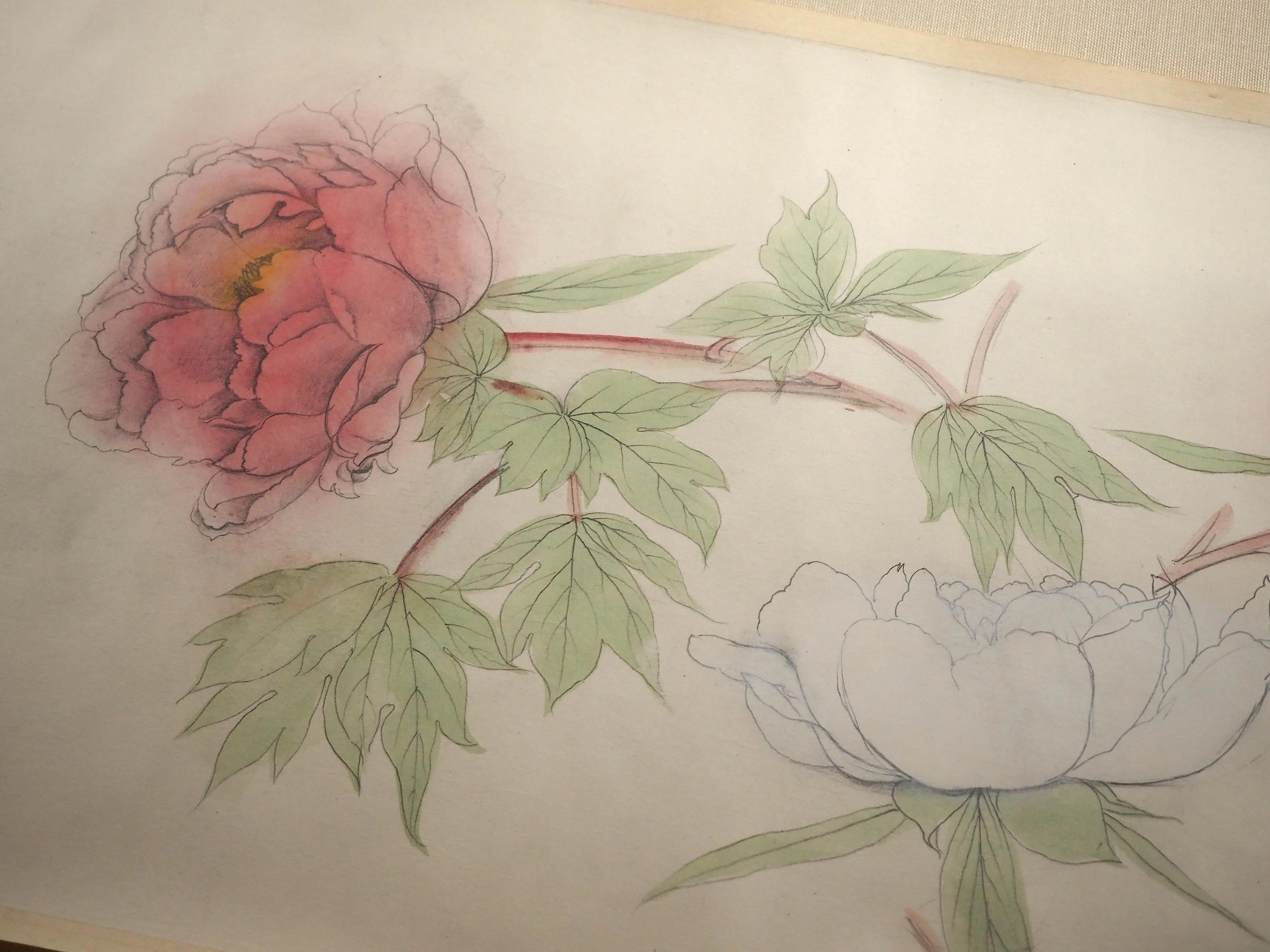速水御舟　牡丹　モモセ版画美術　木版画 速水御舟の《寒牡丹写生図巻》に惚れ惚れしてきました…＠東京国立近代