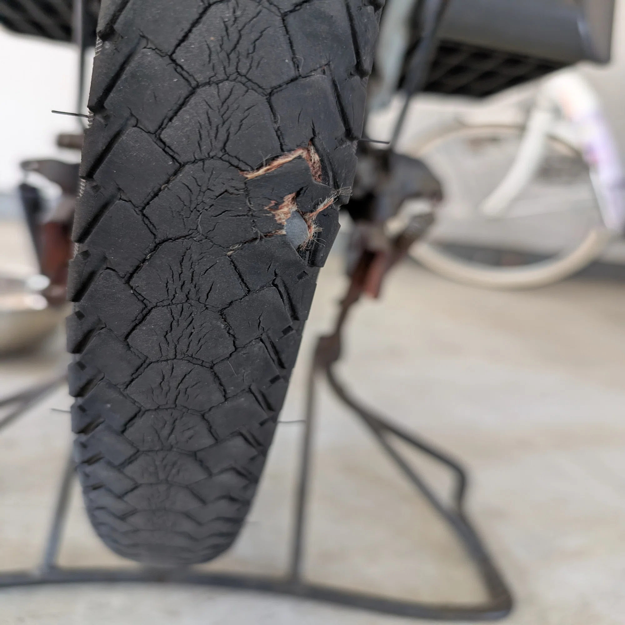 節約DIY】電動アシスト自転車の後輪タイヤ交換、業者に頼まず自分で 