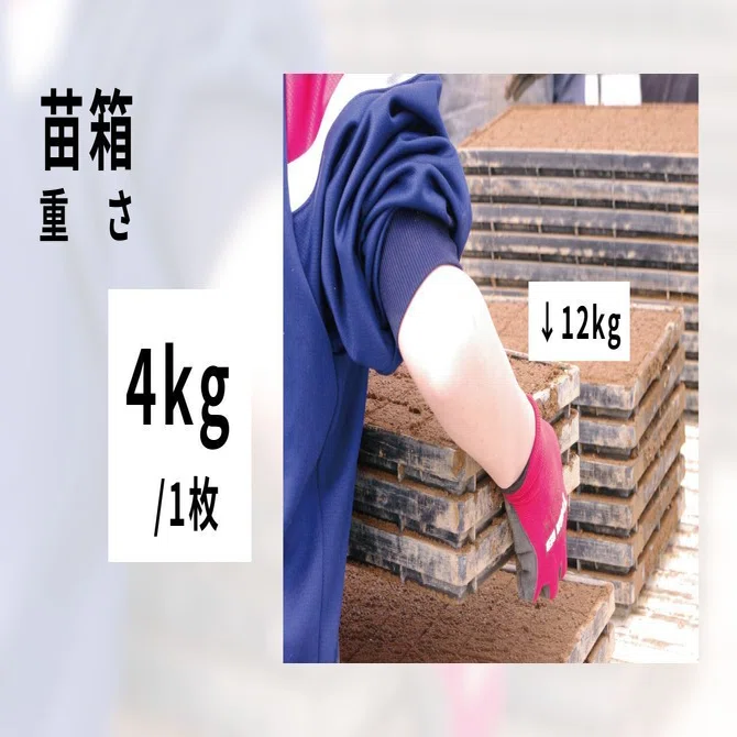 田植え前の大仕事～20000枚の巨大ティラミスみたいな苗箱の話｜株式 