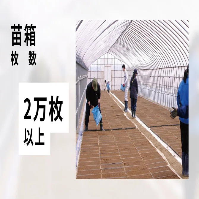 田植え前の大仕事～20000枚の巨大ティラミスみたいな苗箱の話｜株式 