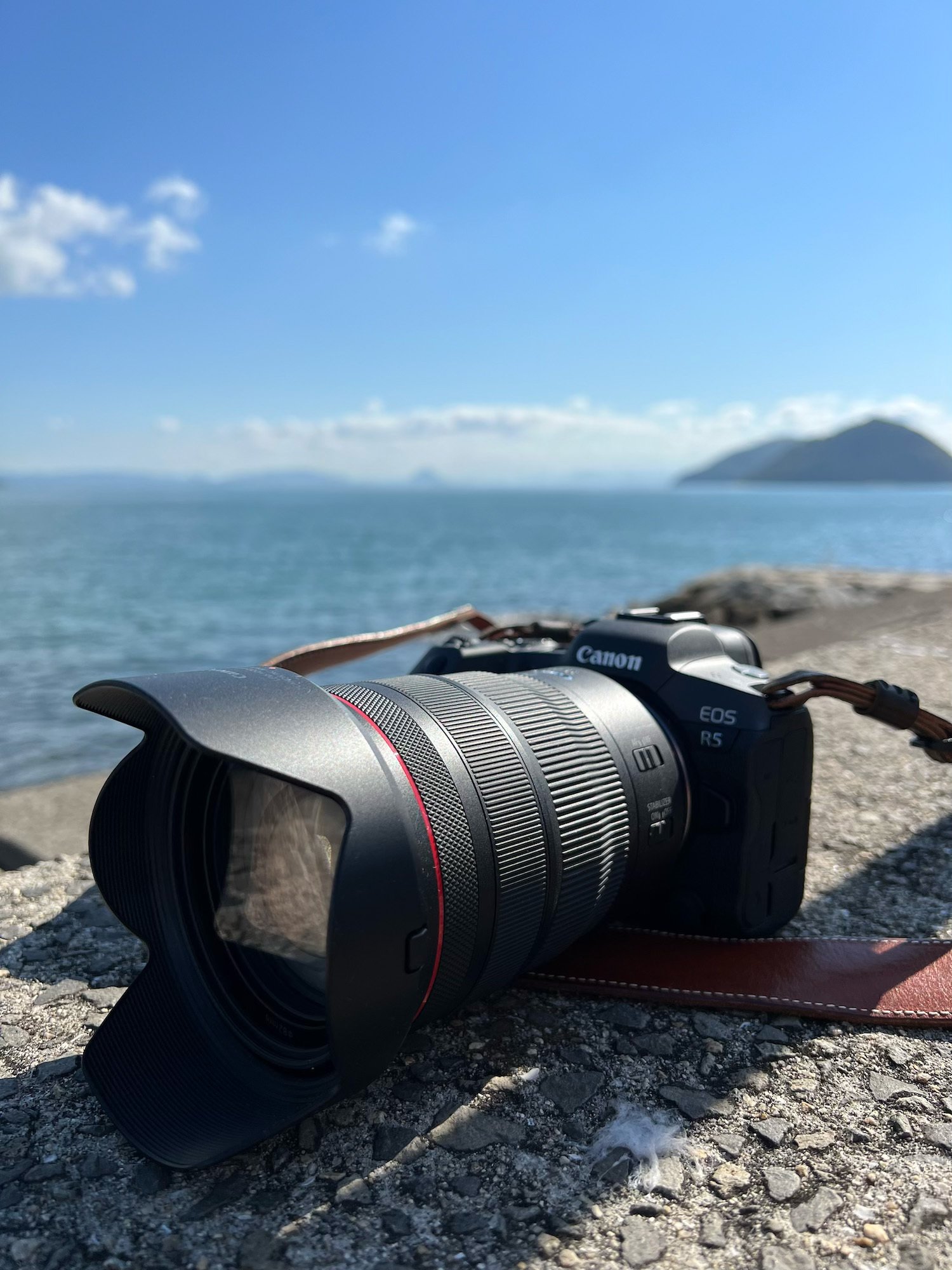 Canon一式を手放したお話｜あおいとり