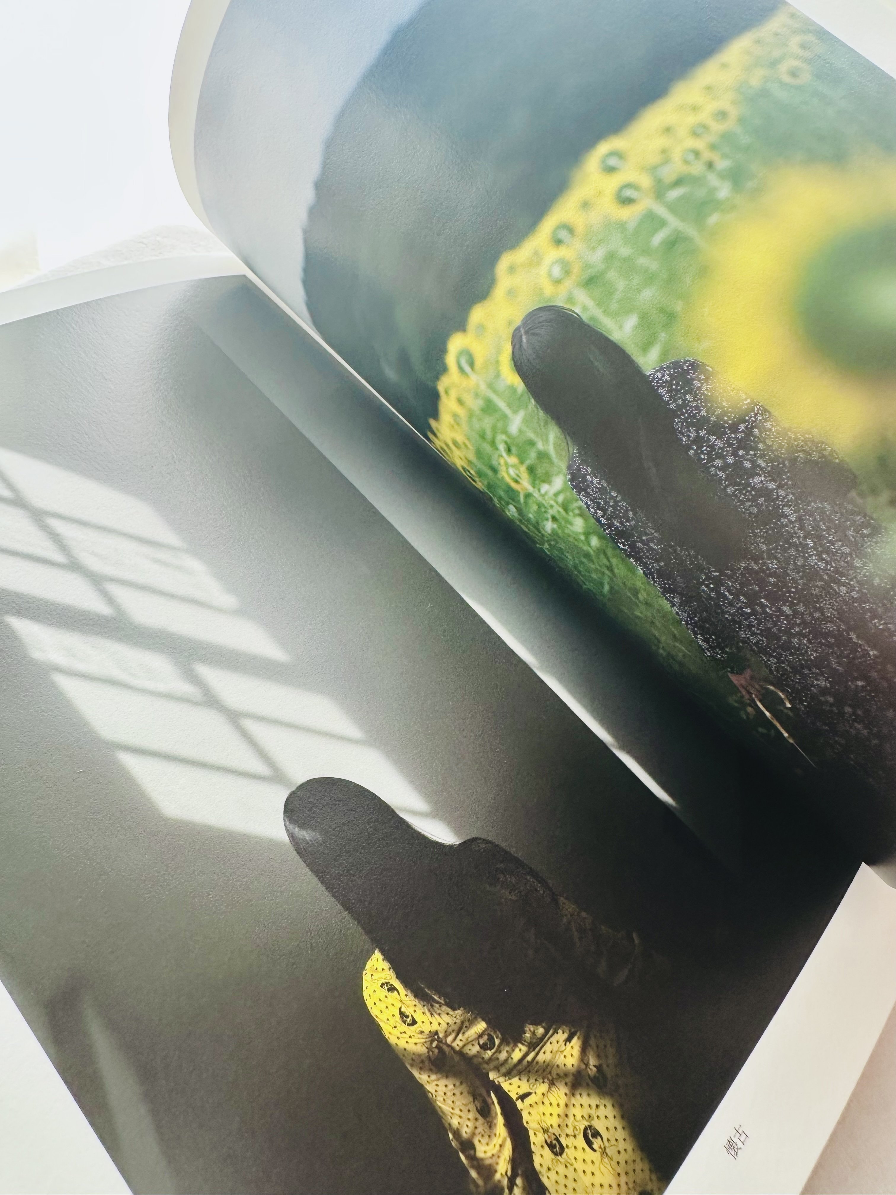 PARALLEL ― 二人展がくれた共鳴のかたち｜渚 ひろみ