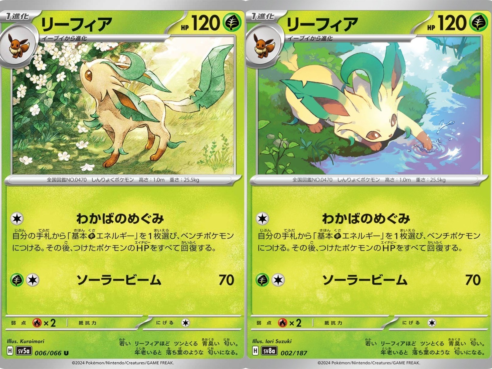 ポケカの歴代リーフィア|リユルン ポケカの歴代リーフィア|リユルン