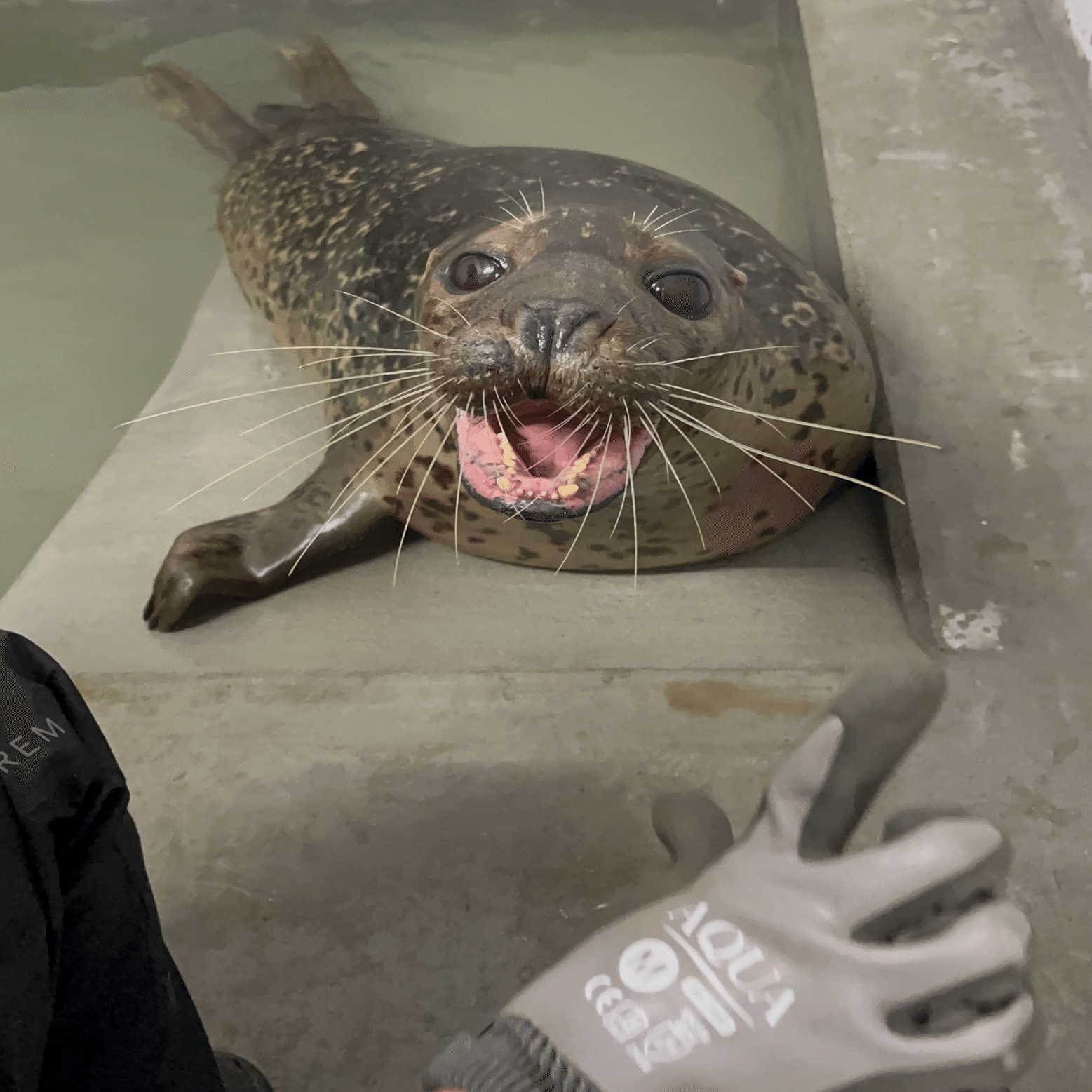 水辺の新入り、みなと君！｜那須どうぶつ王国公式note